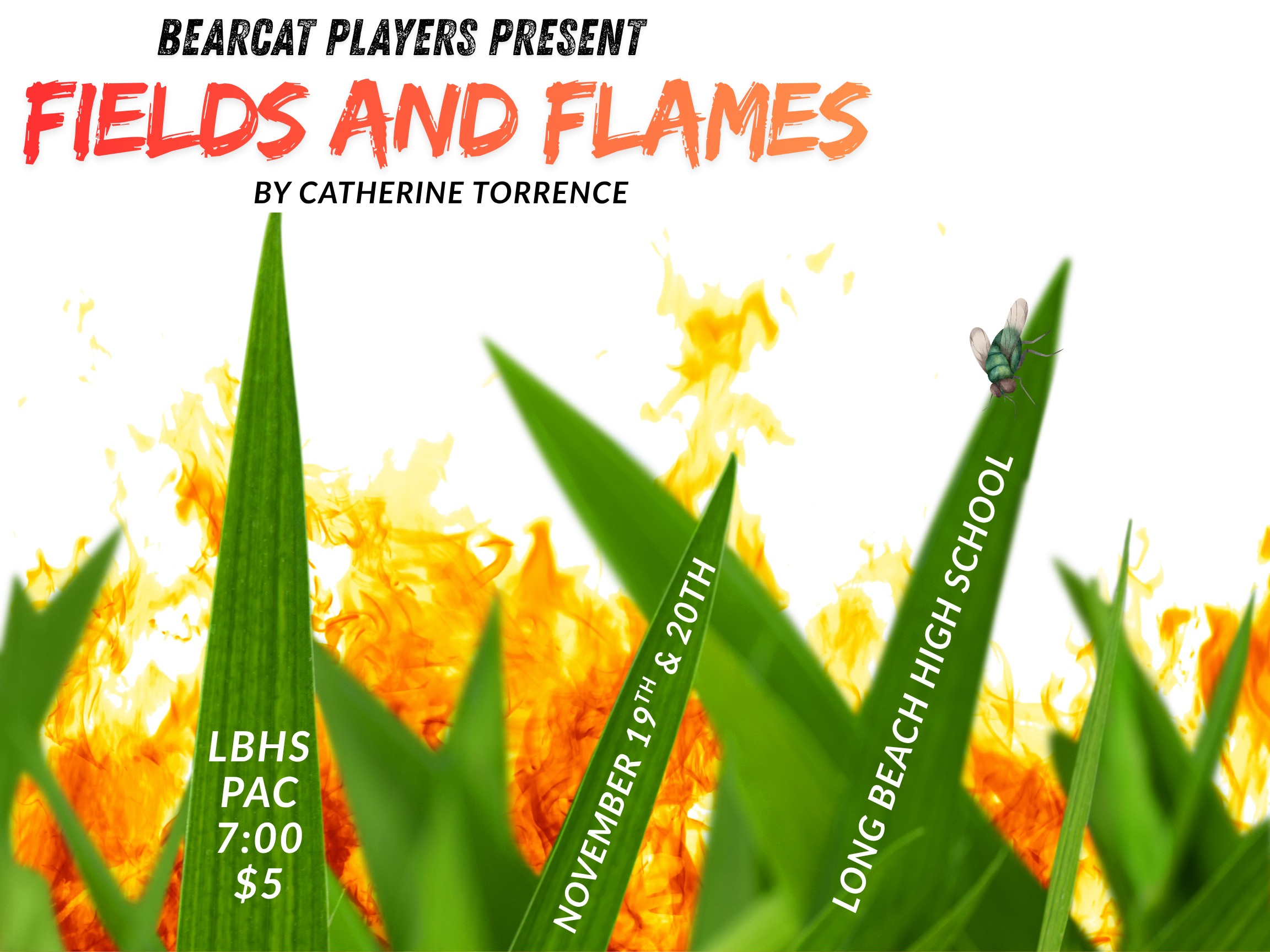 Promotional poster for a play presentation set against a white background with bright orange and yellow flames engulfed by tall, green blades of grass. A small green fly sits near the tip of one grass blade on the upper right. Text details on the poster include: Header Text: "BEARCAT PLAYERS PRESENT" in black. Title: "FIELDS AND FLAMES" in large, red-orange stylized font. Playwright: "BY CATHERINE TORRENCE" in smaller black text directly below the title. Location & Venue (bottom left grass blade): "LBHS PAC", "7:00", "$5". Dates (center grass blade, vertical text): "NOVEMBER 19TH & 20TH". School Name (right grass blade, vertical text): "LONG BEACH HIGH SCHOOL".